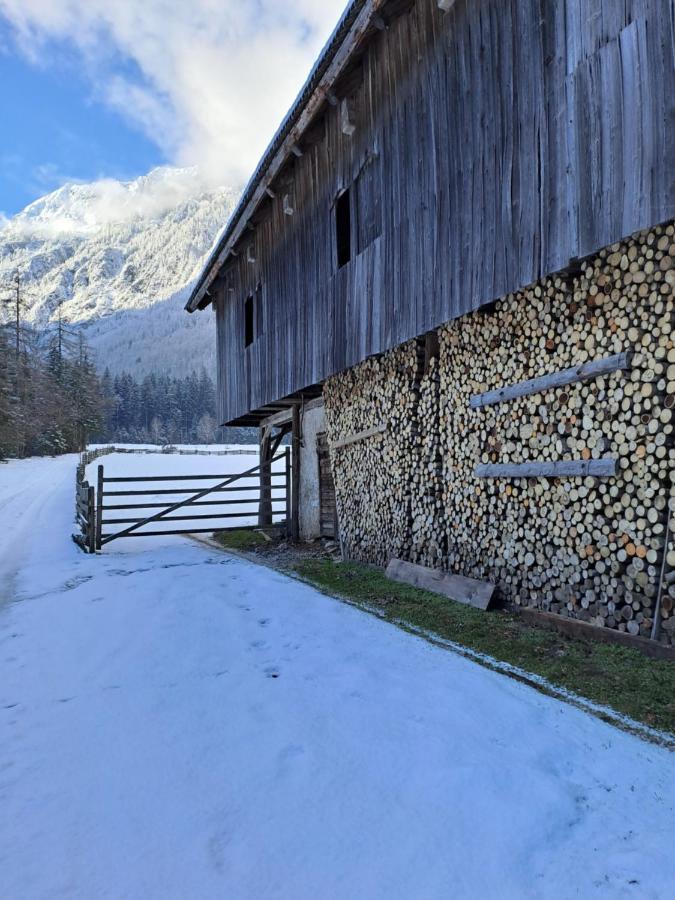 Ferienwohnung Mala Hisa Solčava Exterior foto